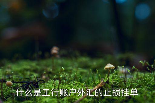 什么是工行賬戶外匯的止損掛單