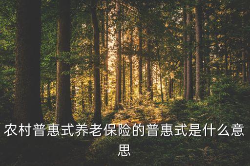 農(nóng)村普惠式養(yǎng)老保險(xiǎn)的普惠式是什么意思