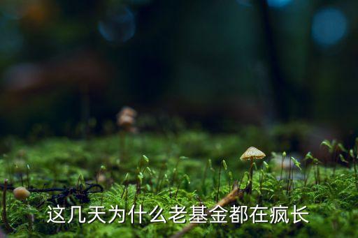 最近基金為什么漲，為什么現(xiàn)在基金漲幅這么大
