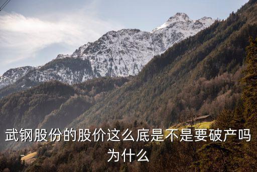 武鋼股份的股價(jià)這么底是不是要破產(chǎn)嗎為什么