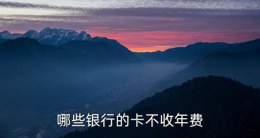 哪些銀行的卡不收年費(fèi)