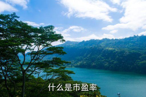市盈率是什么意思，什么是市盈率