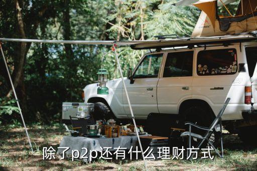 除了p2p還能投什么意思，除了p2p還有什么理財(cái)方式