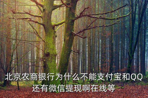 北京農(nóng)商為什么，為什么沒(méi)有北京農(nóng)商銀行啊