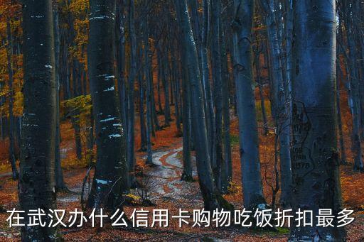 武漢什么信用卡優(yōu)惠多，在武漢用什么信用卡最劃算可以享受的折扣最多