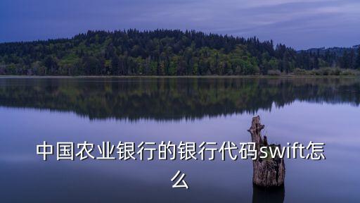 中國(guó)農(nóng)業(yè)銀行的銀行代碼swift怎么
