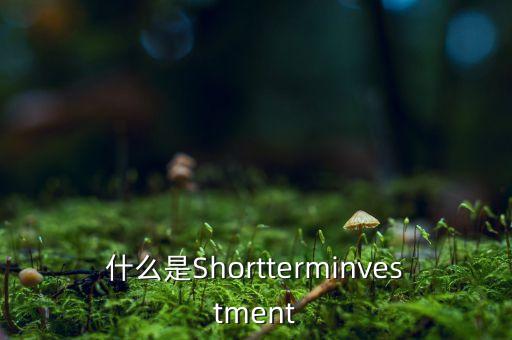 短期投資是什么意思，什么叫短期投資