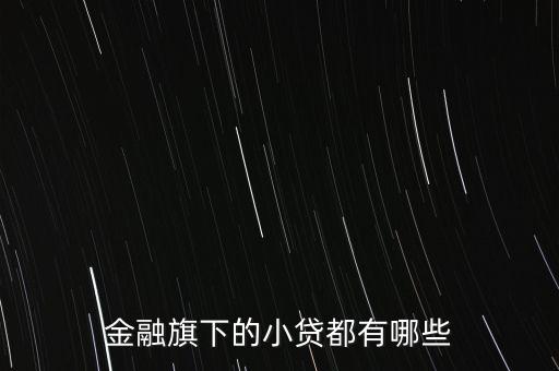 金融旗下的小貸都有哪些