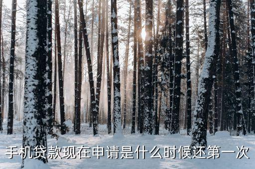第一次網(wǎng)貸用什么時候開始，手機(jī)貸款現(xiàn)在申請是什么時候還第一次
