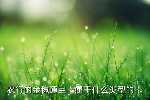 農(nóng)行的金穗通寶卡屬于什么類型的卡