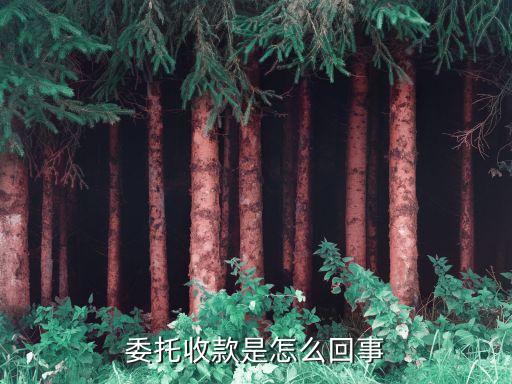 什么是委托收款，委托收款是怎么回事