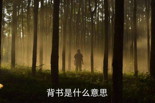 背書是什么意思