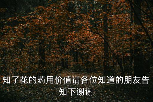 風(fēng)票殼是什么，送男朋友風(fēng)鈴貝殼有什么特殊意義嗎