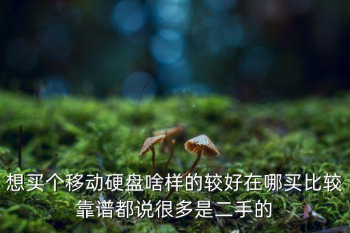 想買(mǎi)個(gè)移動(dòng)硬盤(pán)啥樣的較好在哪買(mǎi)比較靠譜都說(shuō)很多是二手的