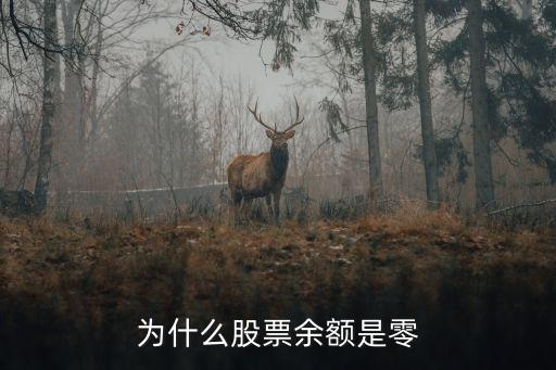 為什么股票可用余額為0，為什么股票余額是零