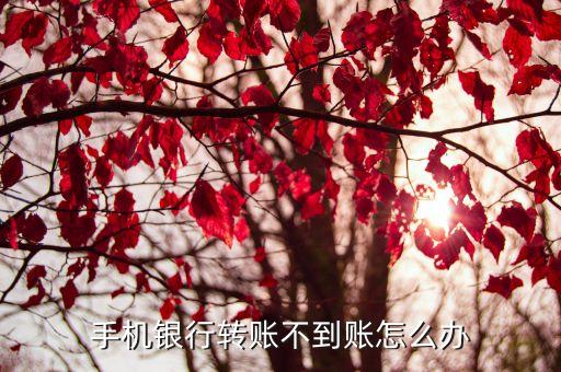 手機(jī)轉(zhuǎn)賬成功但沒(méi)到賬怎么辦，手機(jī)銀行轉(zhuǎn)賬成功了但對(duì)方未收到錢