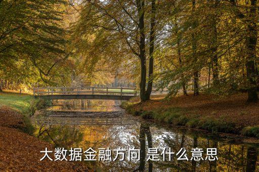 什么是大數(shù)據(jù)金融，什么是大數(shù)據(jù)金融
