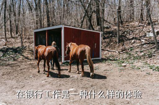 銀行工作是什么樣子的，在銀行工作是一種什么樣的體驗