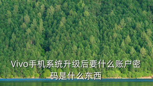 Vivo手機(jī)系統(tǒng)升級后要什么賬戶密碼是什么東西