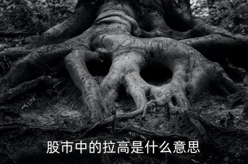 股市中的拉高是什么意思