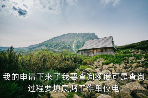 我的申請(qǐng)下來了我要查詢額度可是查詢過程要填宸鴻工作單位電