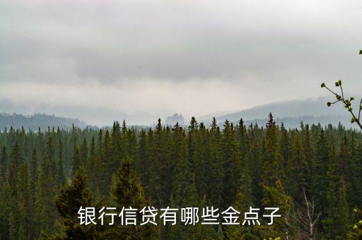 銀行信貸有哪些金點(diǎn)子