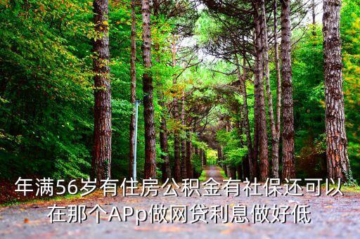 年滿56歲有住房公積金有社保還可以在那個APp做網貸利息做好低