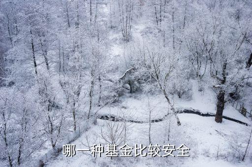 什么基金，什么基金收益高