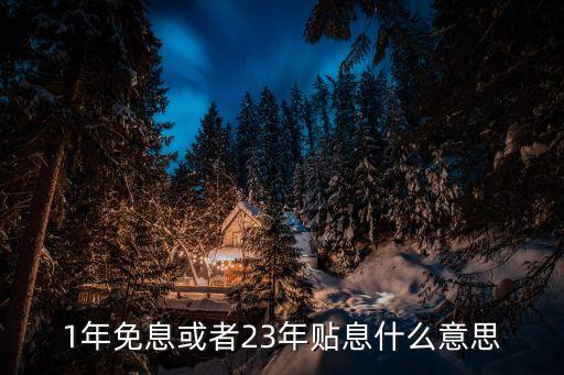 1年免息或者23年貼息什么意思