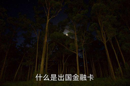 出國加卡是什么意思，什么是出國金融專屬卡