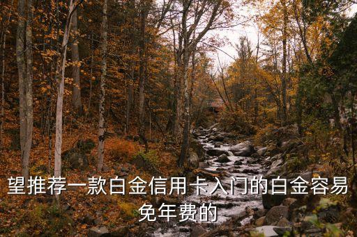 招行經(jīng)典白配什么卡，望推薦一款白金信用卡入門的白金容易免年費的
