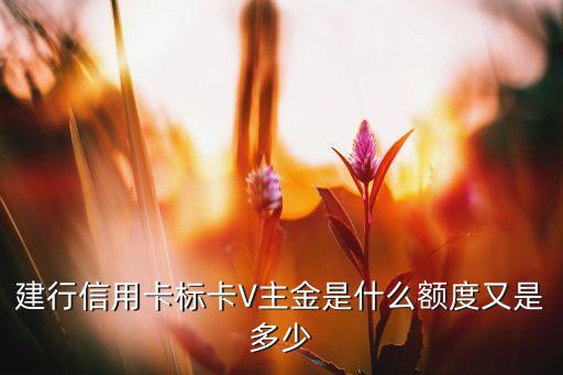標(biāo)卡v主金是什么卡，標(biāo)卡v主金是什么卡