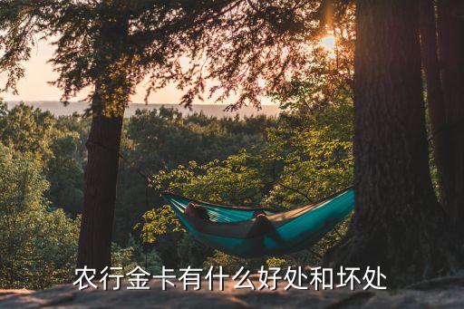 廣州農(nóng)商銀行金卡有什么好處，農(nóng)行金卡有什么好處和壞處