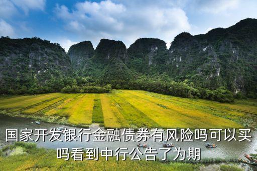 國(guó)開(kāi)債有什么風(fēng)險(xiǎn)，買(mǎi)國(guó)債有風(fēng)險(xiǎn)嗎