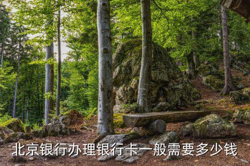北京銀行辦卡用什么手續(xù)費多少錢，北京銀行辦理銀行卡一般需要多少錢
