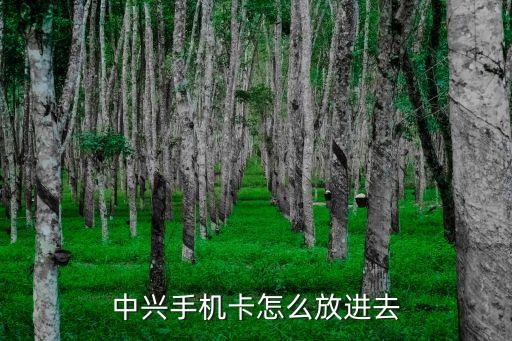 中信手機怎么放手機卡，中興手機怎樣插入號碼卡