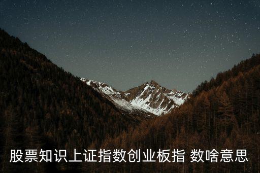 股票知識(shí)上證指數(shù)創(chuàng)業(yè)板指 數(shù)啥意思