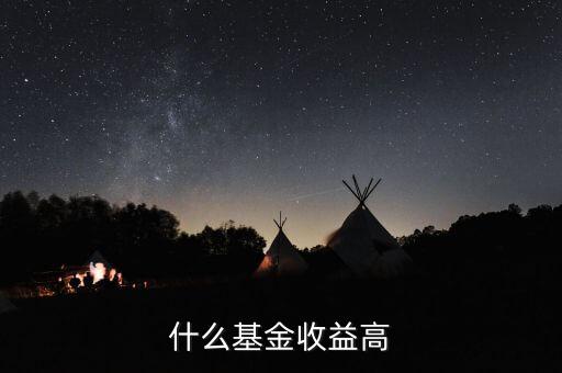 什么基金收益高