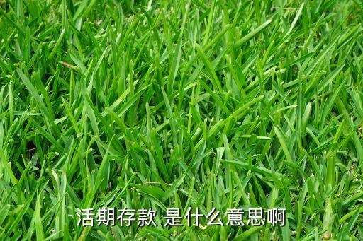 活期存款是什么意思啊，活期存款是什么意思