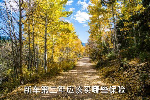 買車第二年買什么保險(xiǎn)，車子第二年了應(yīng)該買哪些保險(xiǎn)求指教