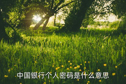 中國銀行個(gè)人密碼是什么意思