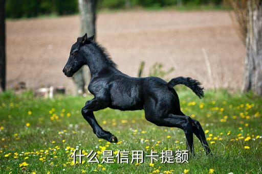 什么是信用卡提額