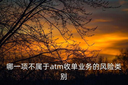 哪一項(xiàng)不屬于atm收單業(yè)務(wù)的風(fēng)險(xiǎn)類(lèi)別