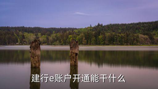 建行e賬戶開通能干什么