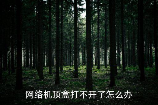網(wǎng)絡機頂盒打不開了怎么辦