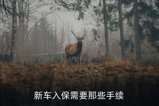 新車入保需要那些手續(xù)