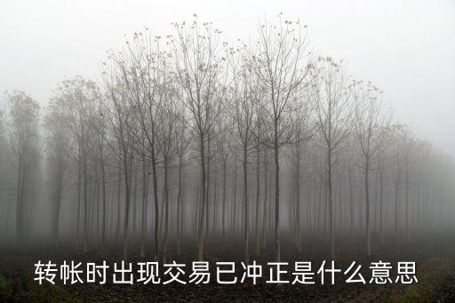 銀行轉(zhuǎn)賬沖正是什么意思，銀行轉(zhuǎn)賬沖正什么意思