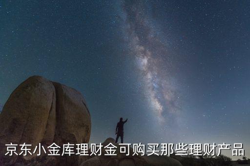 京東小金庫怎么理財，京東小金庫理財金可購買那些理財產(chǎn)品