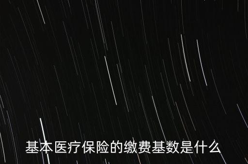 基本醫(yī)療保險(xiǎn)的繳費(fèi)基數(shù)是什么