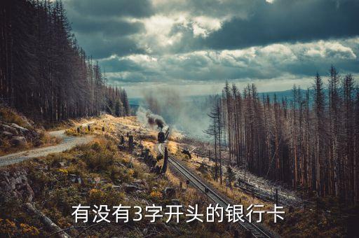 3開頭是什么銀行卡，3開頭的卡號是什么行的